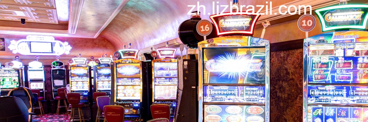 zh.lizbrazil.com